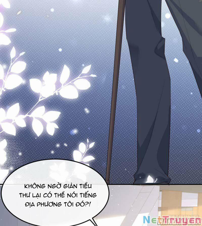 Lục Tổng, Vợ Anh Lại Lên Hot Search Rồi 43 trang 3