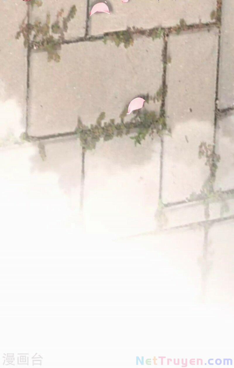 Lục Tổng, Vợ Anh Lại Lên Hot Search Rồi 5 trang 25