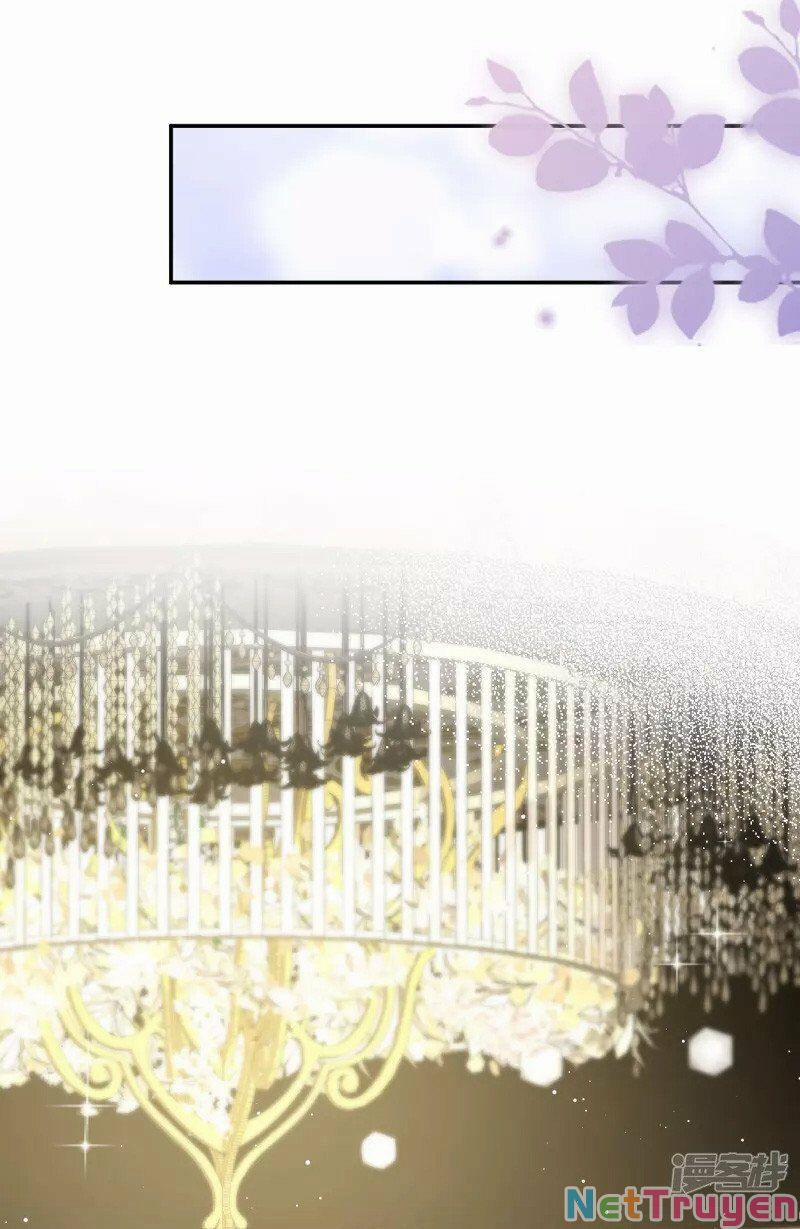 Lục Tổng, Vợ Anh Lại Lên Hot Search Rồi 53 trang 3