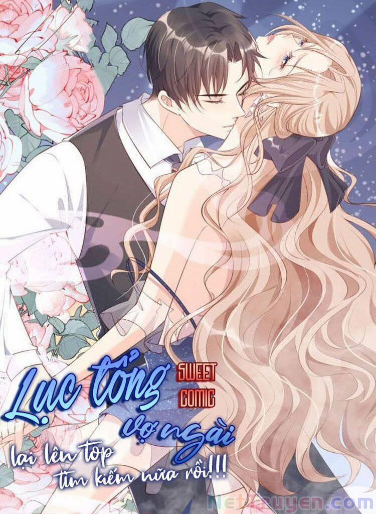 Lục Tổng, Vợ Anh Lại Lên Hot Search Rồi 9 trang 0