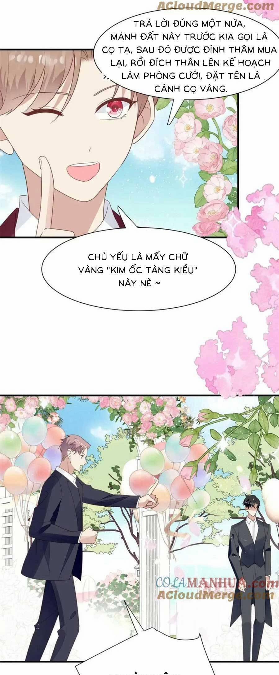 Lưng Dựa Núi Lớn Đứng Vững C Vị 203 trang 3