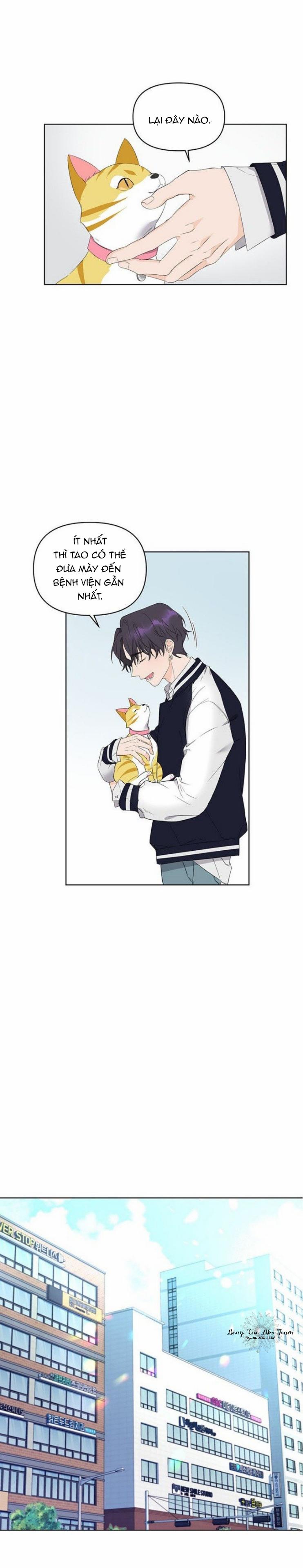 Lưu Ly Hổ 1 trang 12