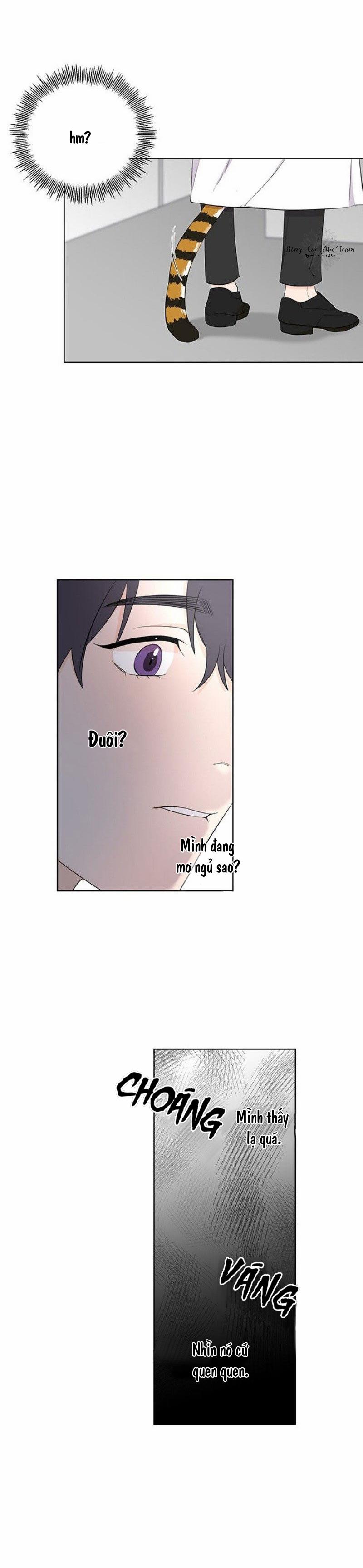 Lưu Ly Hổ 1 trang 19