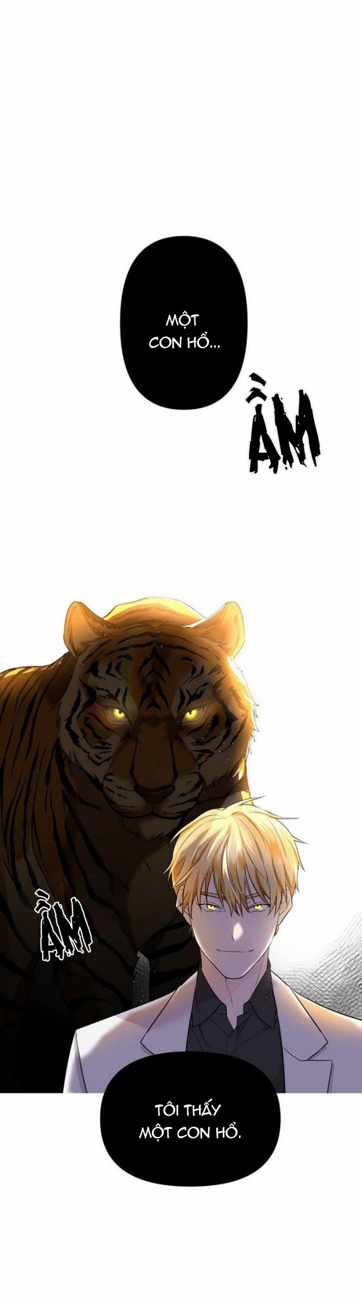 Lưu Ly Hổ 1 trang 23