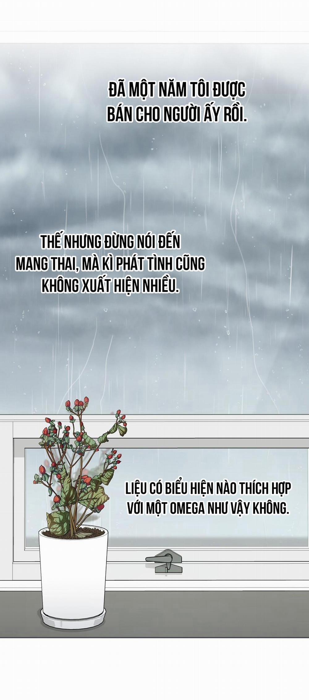 Macguffin 2 trang 16