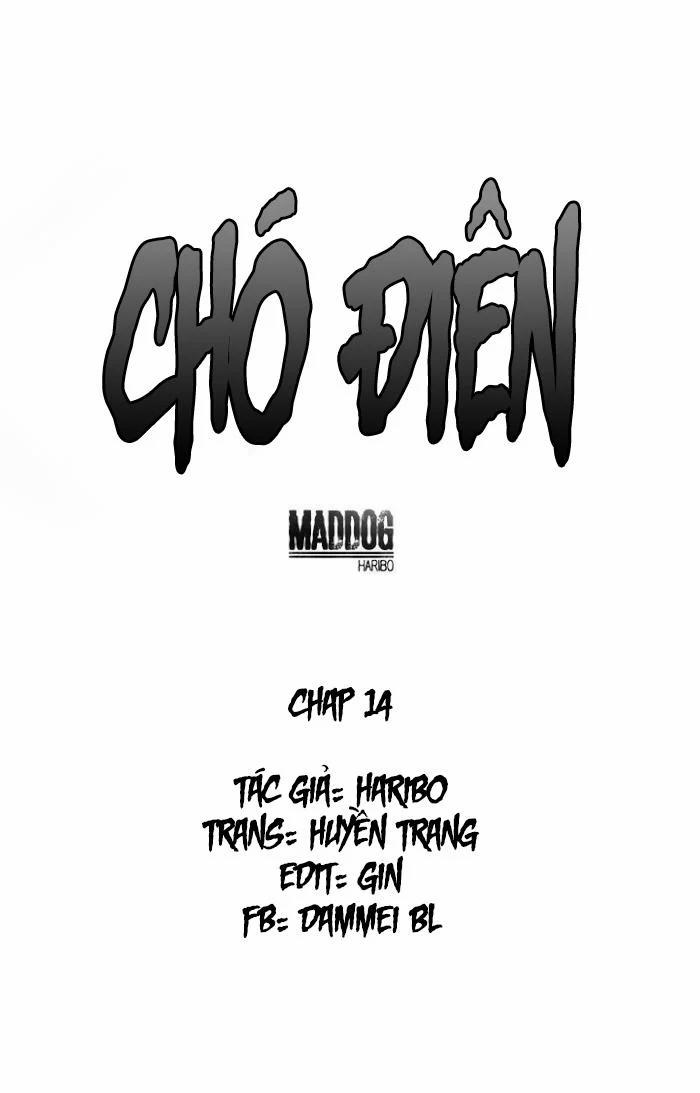 Mad Dog 14 trang 0