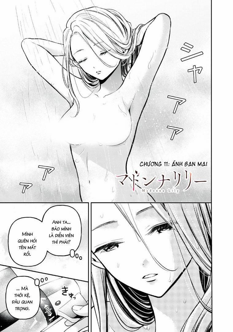 Madonna Lily 11 trang 2