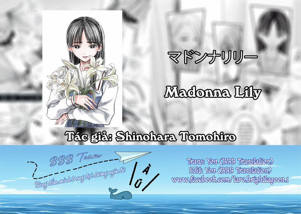 Madonna Lily 3 trang 1