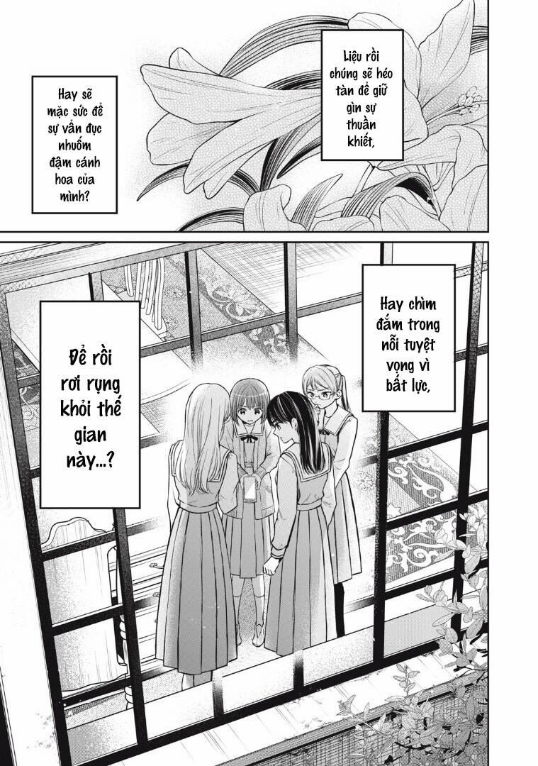 Madonna Lily 8 trang 17