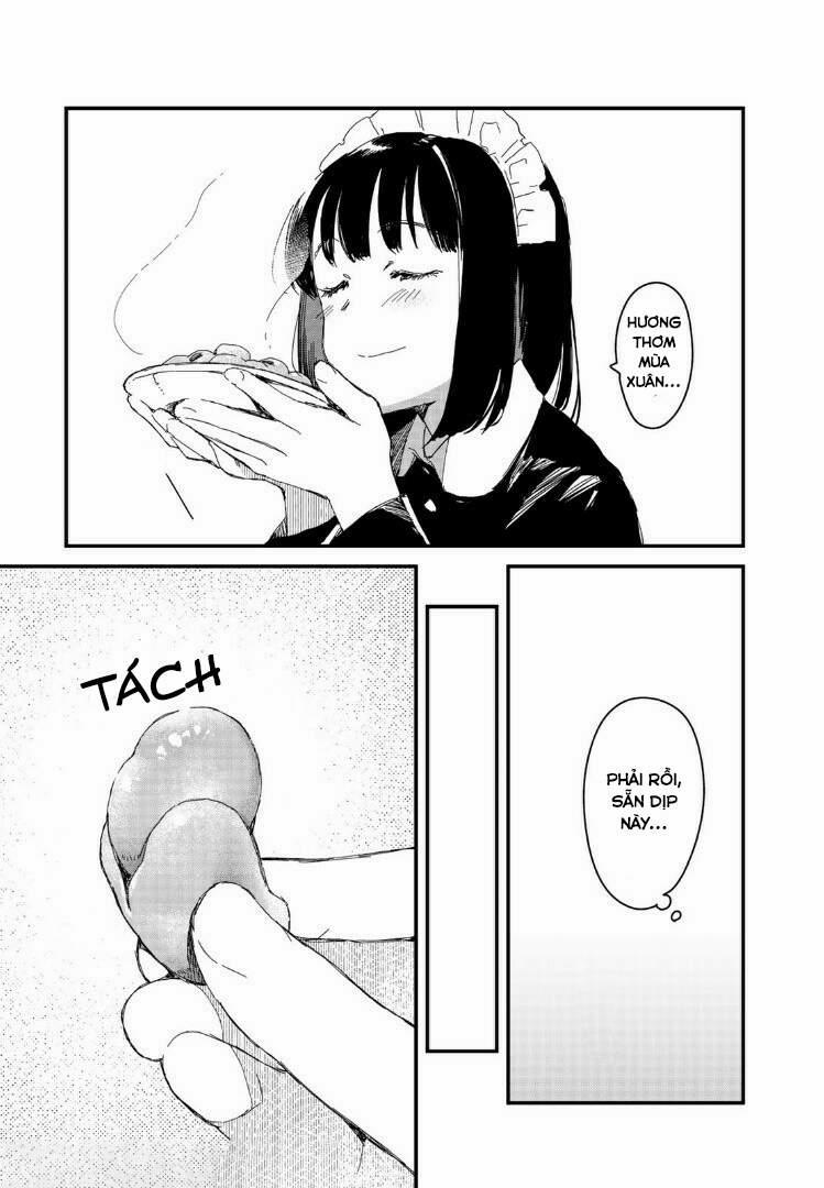 Maid-San Wa Taberu Dake 13 trang 11