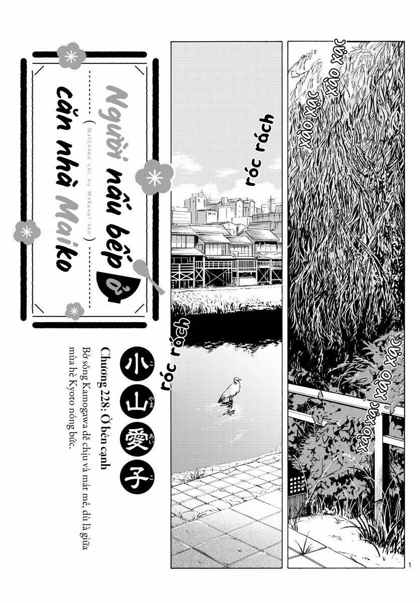Maiko-San Chi No Makanai-San 228 trang 0