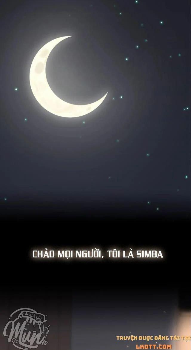 Màn Đêm Ái Muội 0 trang 0