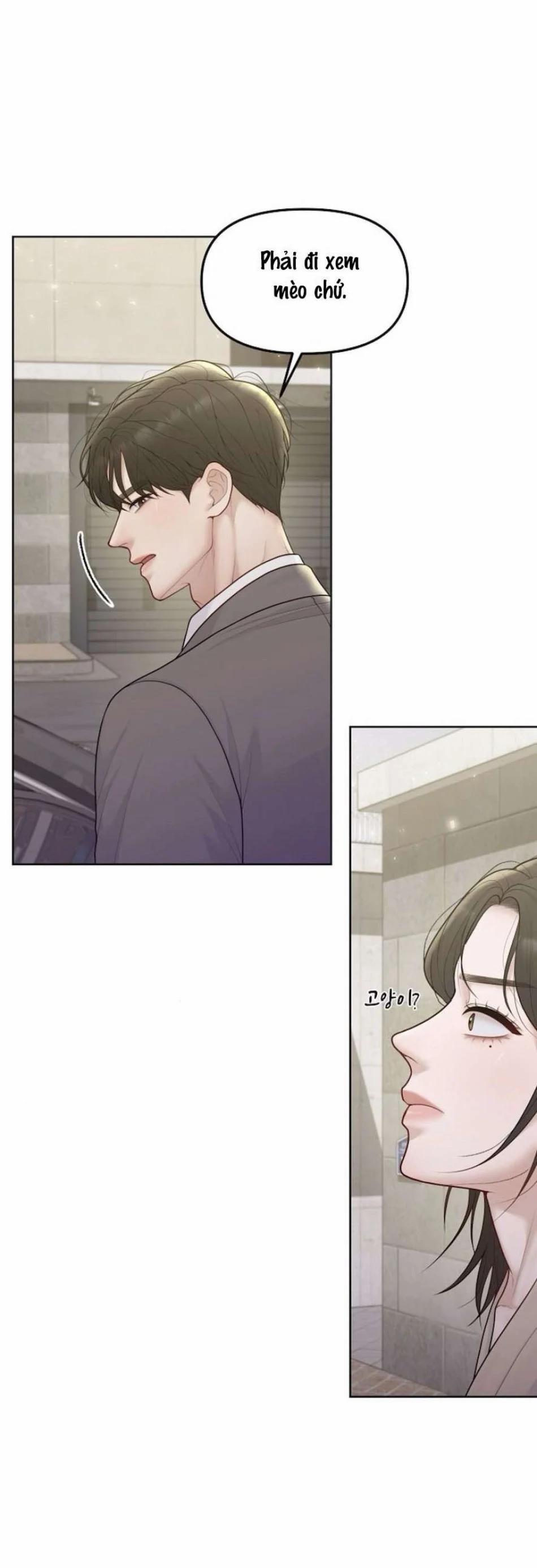 Mang Thai, Chiếm Đoạt 12 trang 12