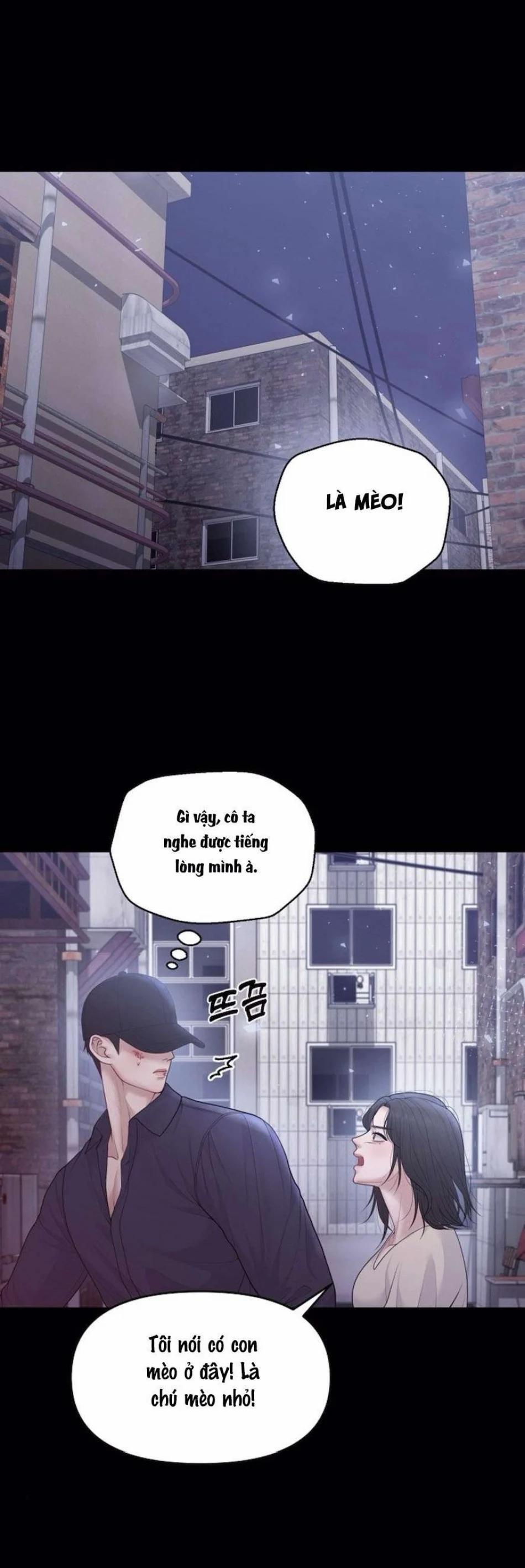 Mang Thai, Chiếm Đoạt 13 trang 10