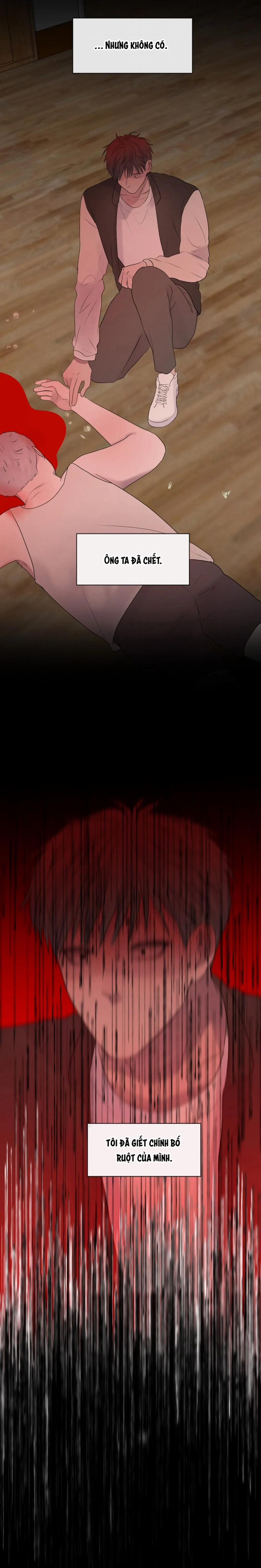 Mảnh Đêm Vụn Vỡ 41 trang 14