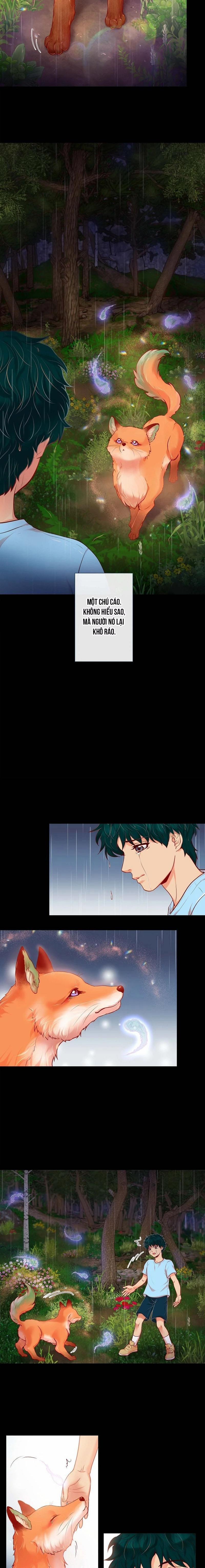 MÃNH HỔ VÂY QUANH 1 trang 3