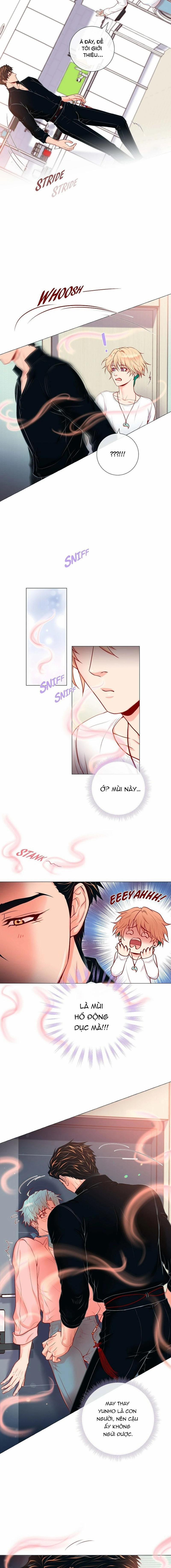 MÃNH HỔ VÂY QUANH 3 trang 5