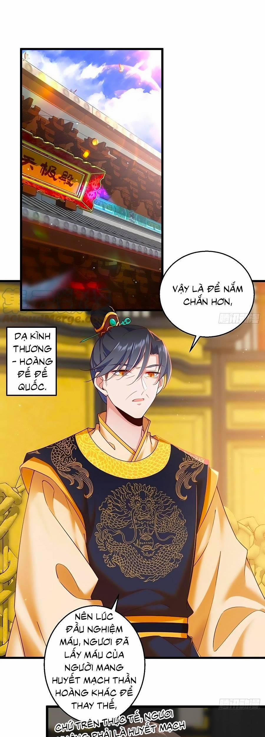 Manh Sư Tại Thượng 336 trang 1