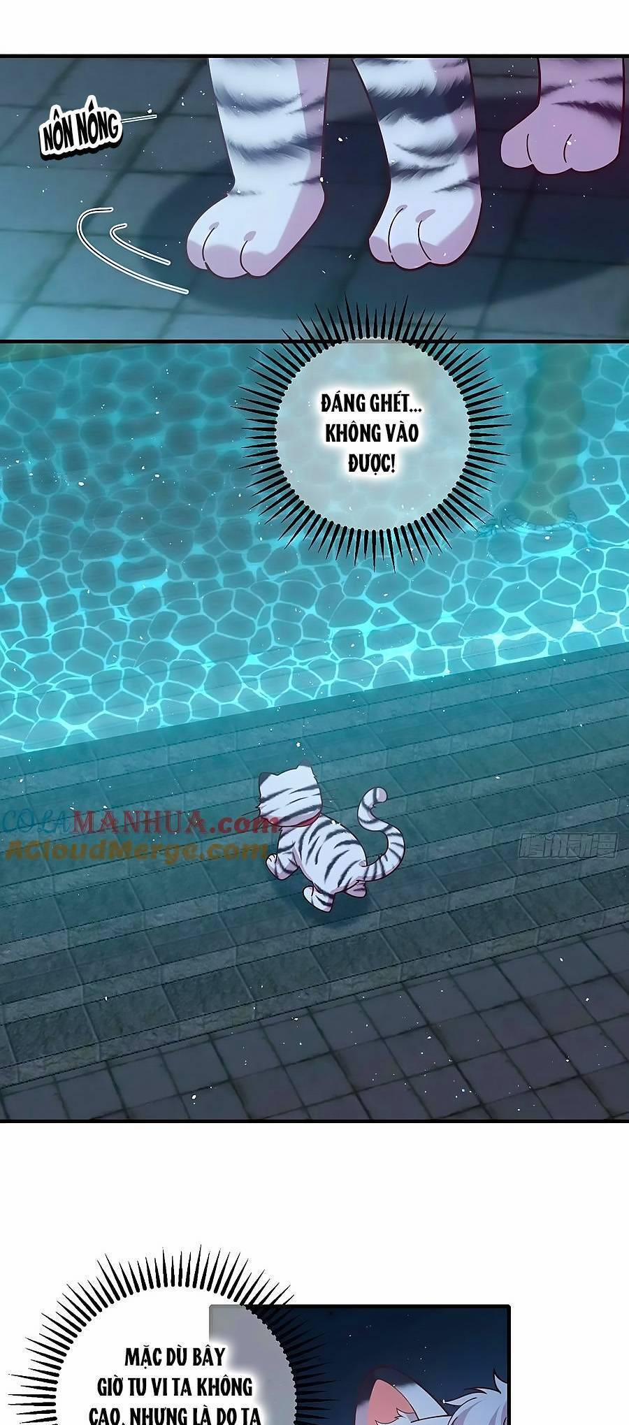 Manh Sư Tại Thượng 440 trang 1