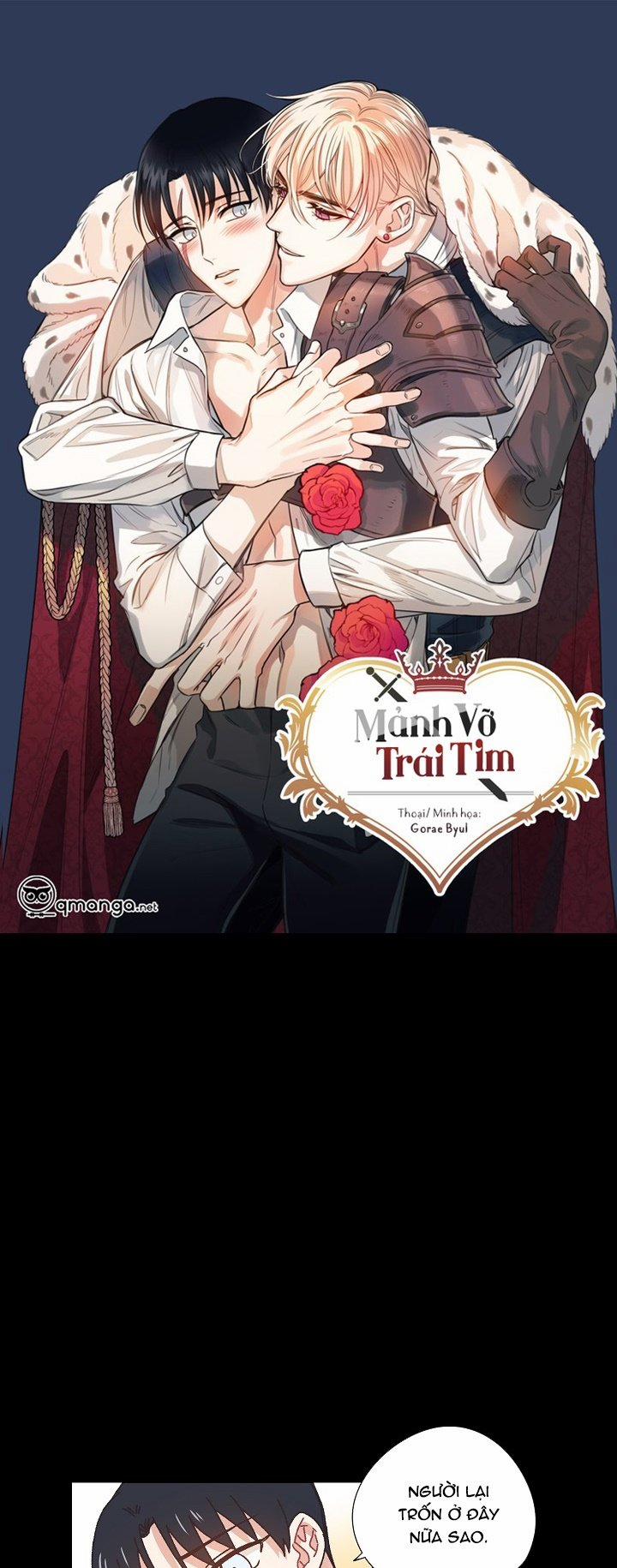 Mảnh Vỡ Trái Tim 15 trang 0