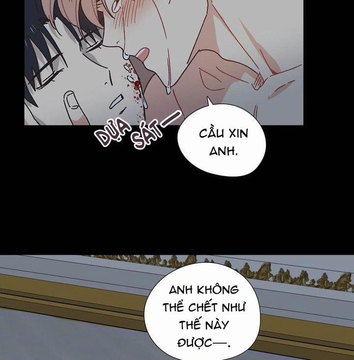 Mảnh Vỡ Trái Tim 33 trang 14