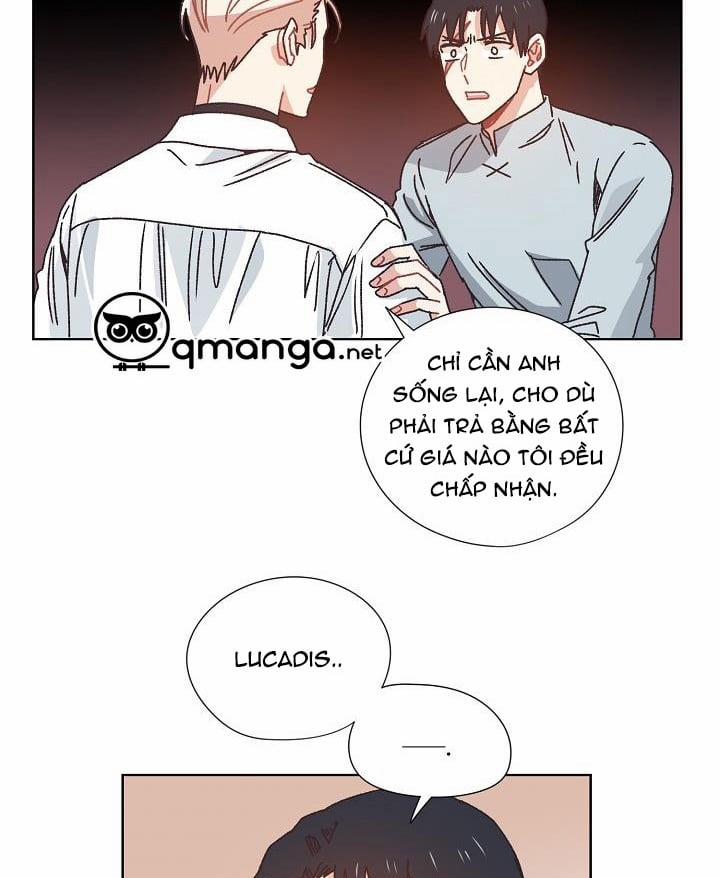 Mảnh Vỡ Trái Tim 36 trang 12