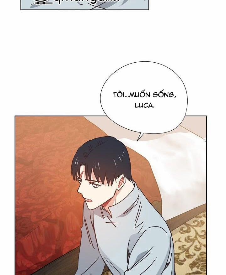 Mảnh Vỡ Trái Tim 36 trang 24