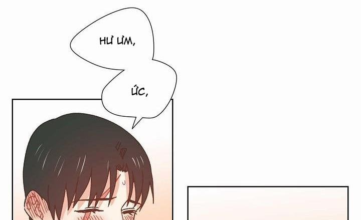 Mảnh Vỡ Trái Tim 38 trang 18