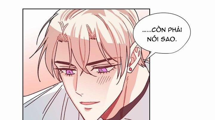 Mảnh Vỡ Trái Tim 38 trang 27