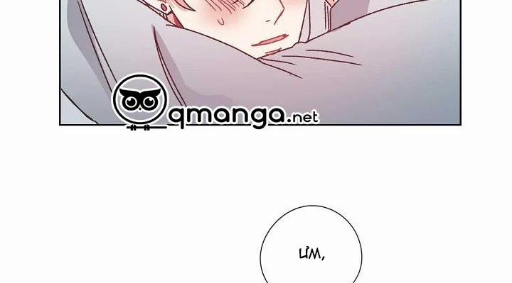 Mảnh Vỡ Trái Tim 38 trang 60