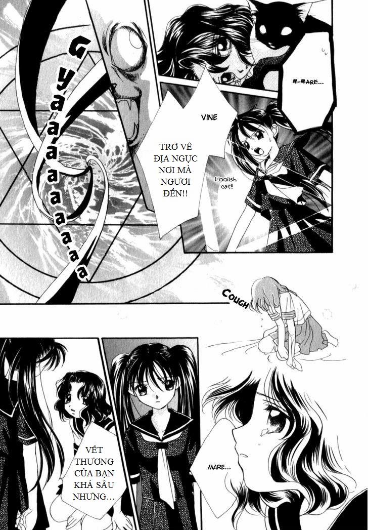 Mare 6 trang 18