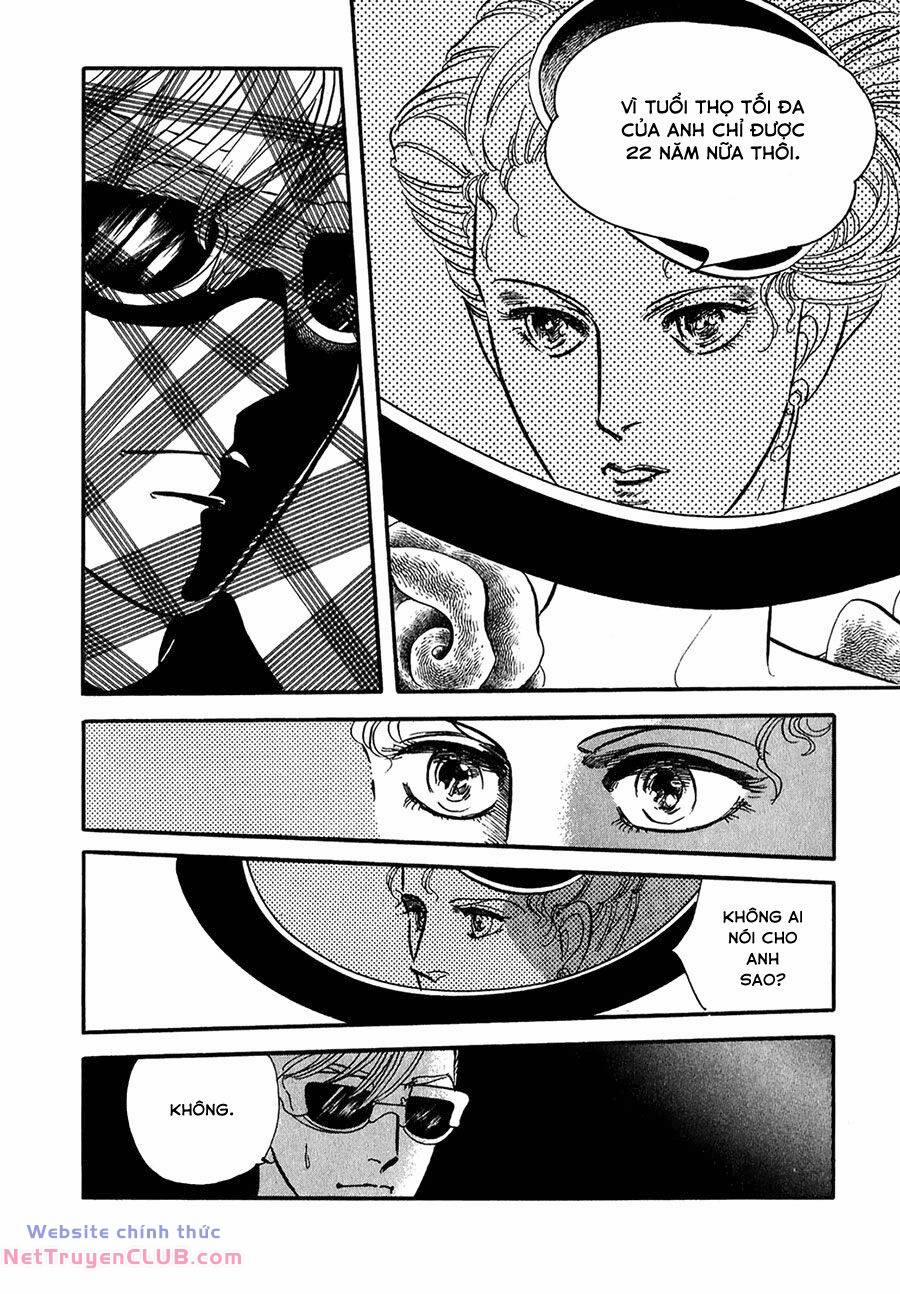 Marginal 20 trang 19