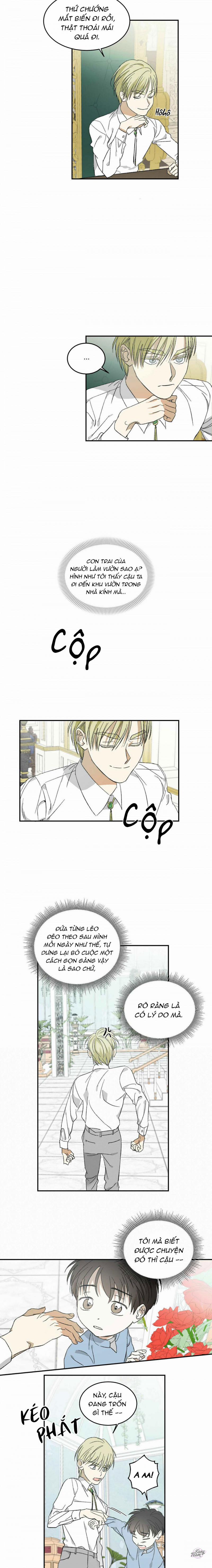 Master Của Tôi 3 trang 9