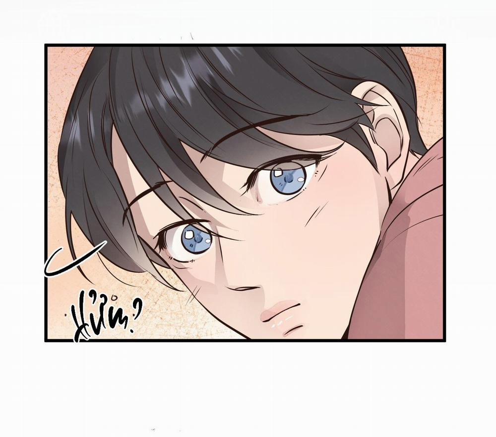 Mật Gấu 40 trang 13