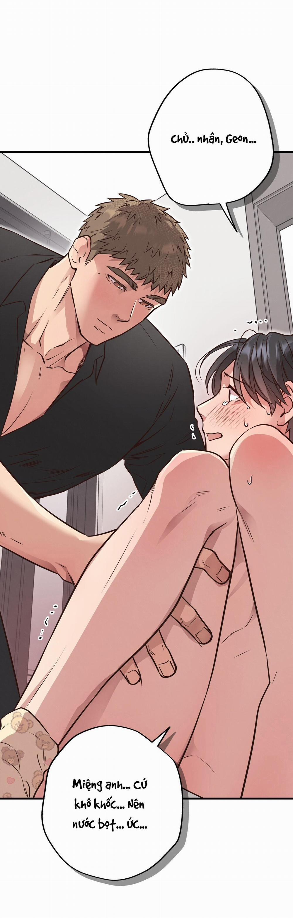 Mật Gấu 41 trang 11