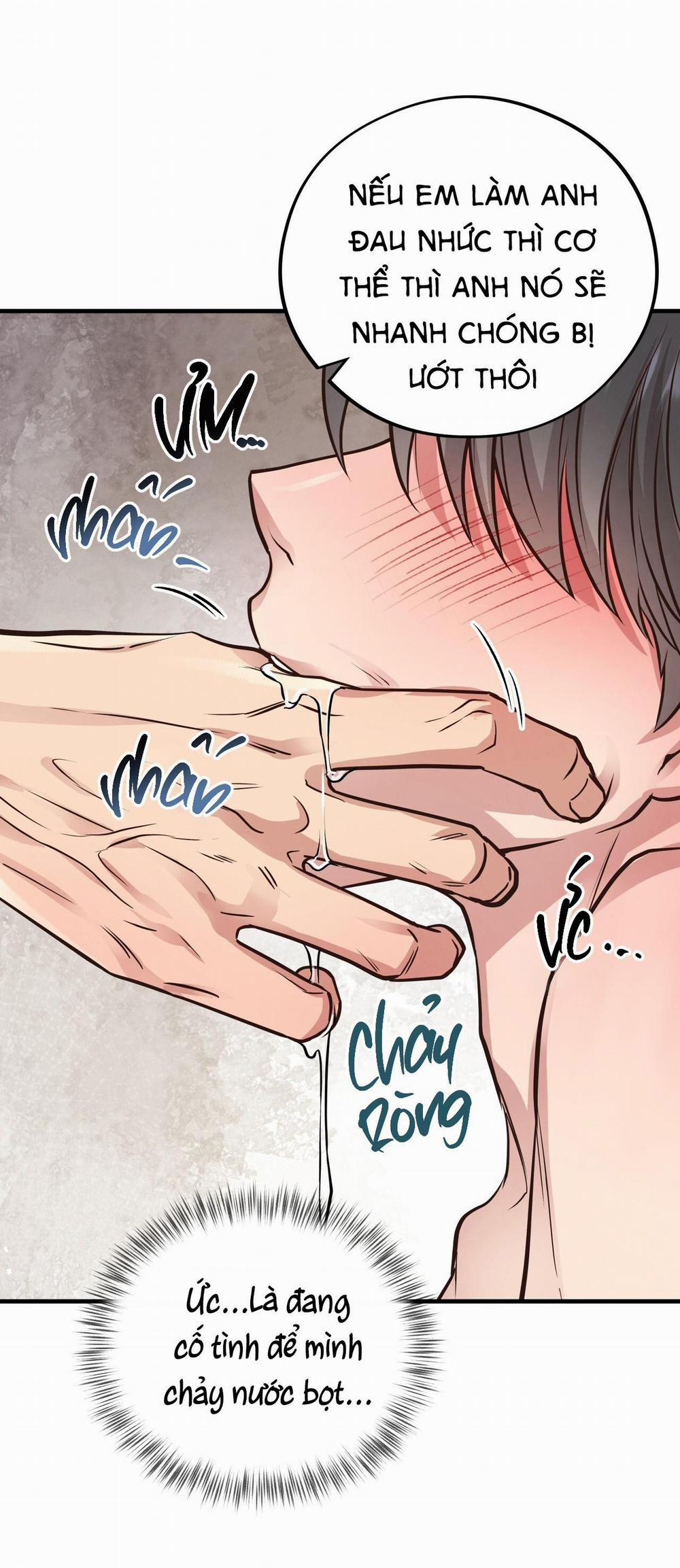 Mật Gấu 41 trang 13