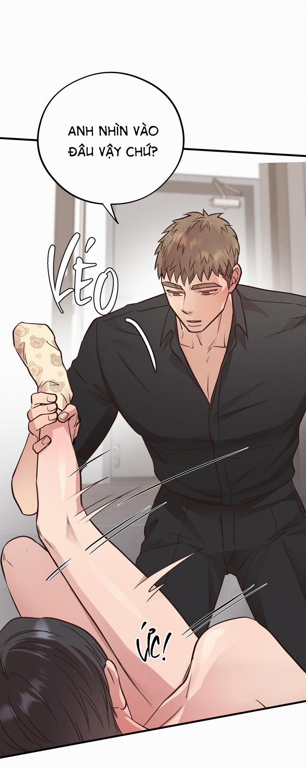 Mật Gấu 41 trang 16