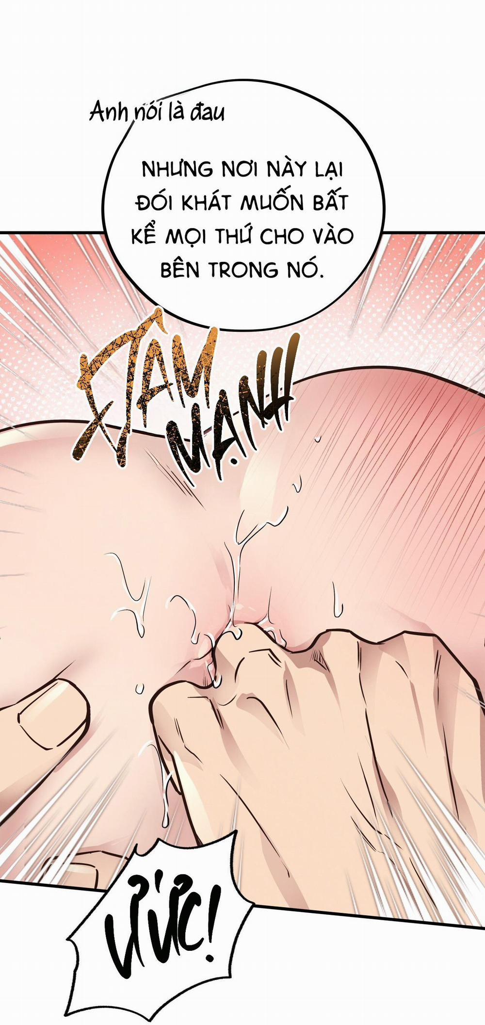 Mật Gấu 41 trang 26