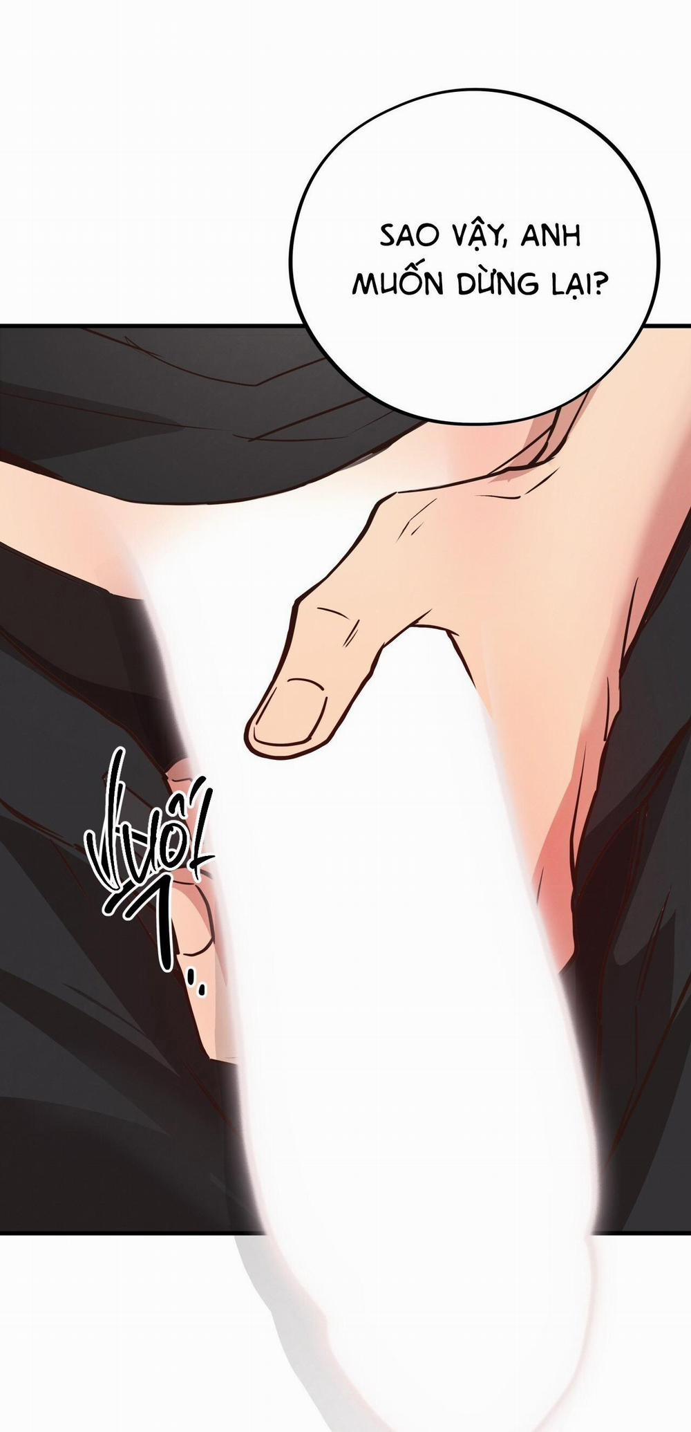 Mật Gấu 41 trang 31