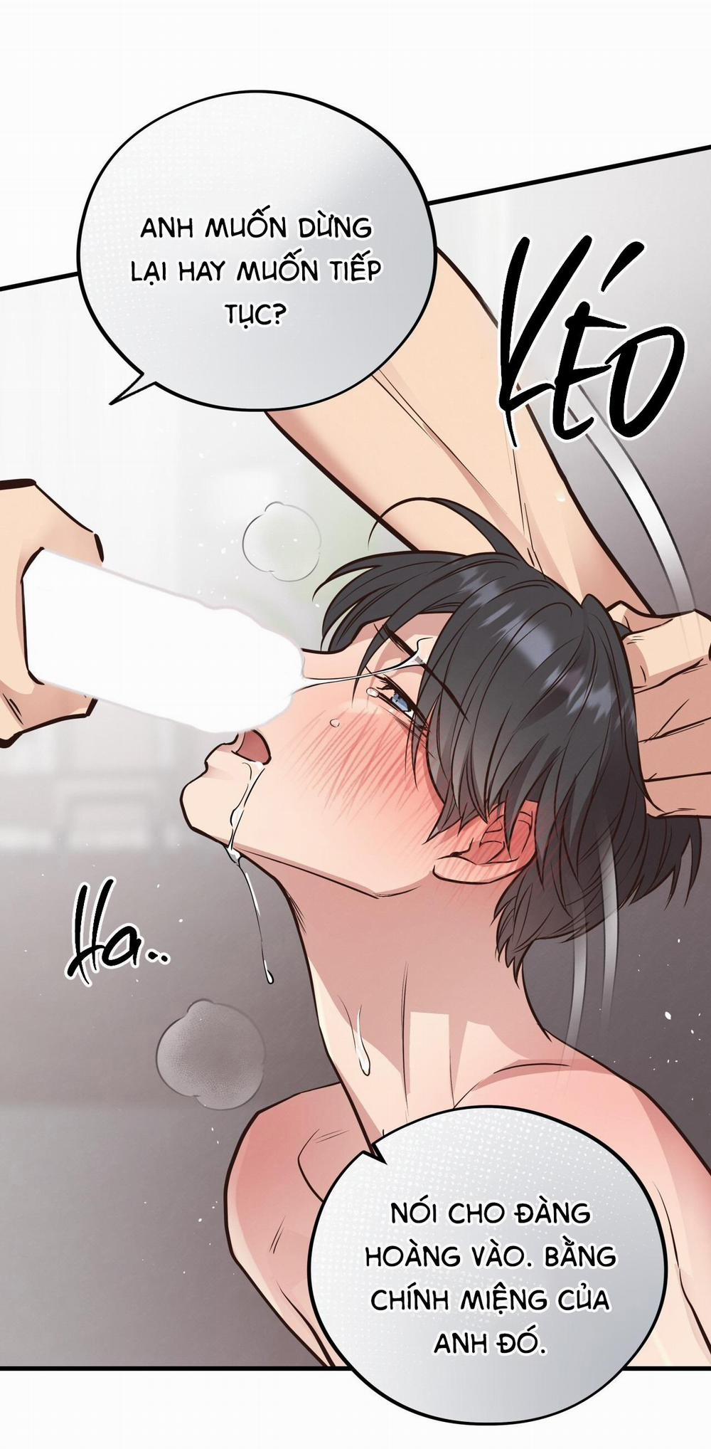 Mật Gấu 41 trang 36