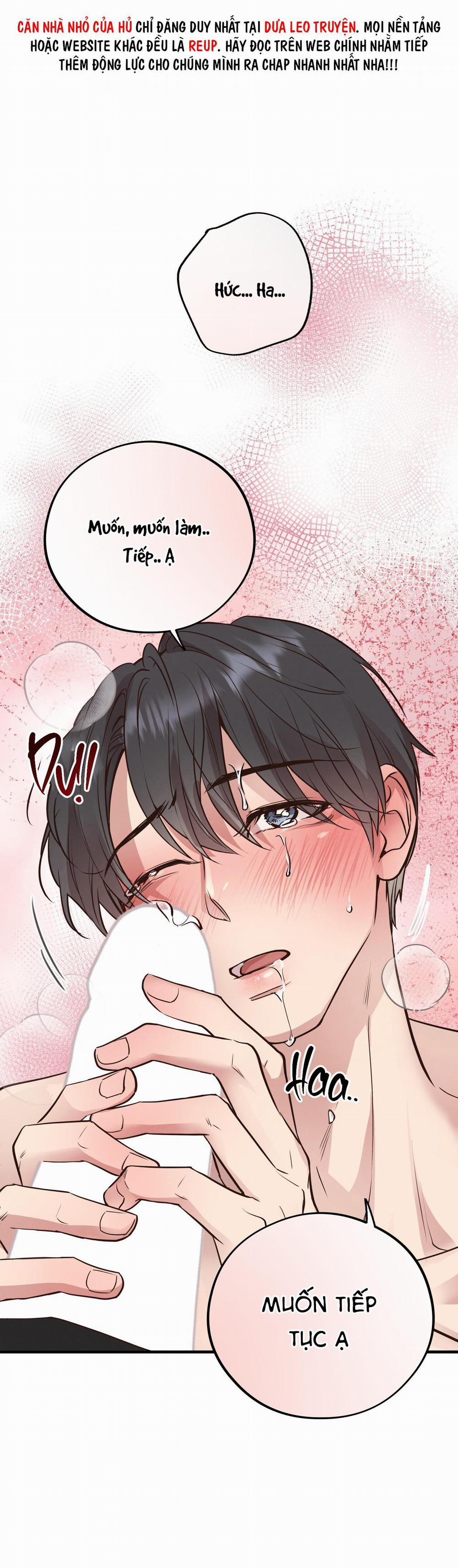 Mật Gấu 41 trang 37