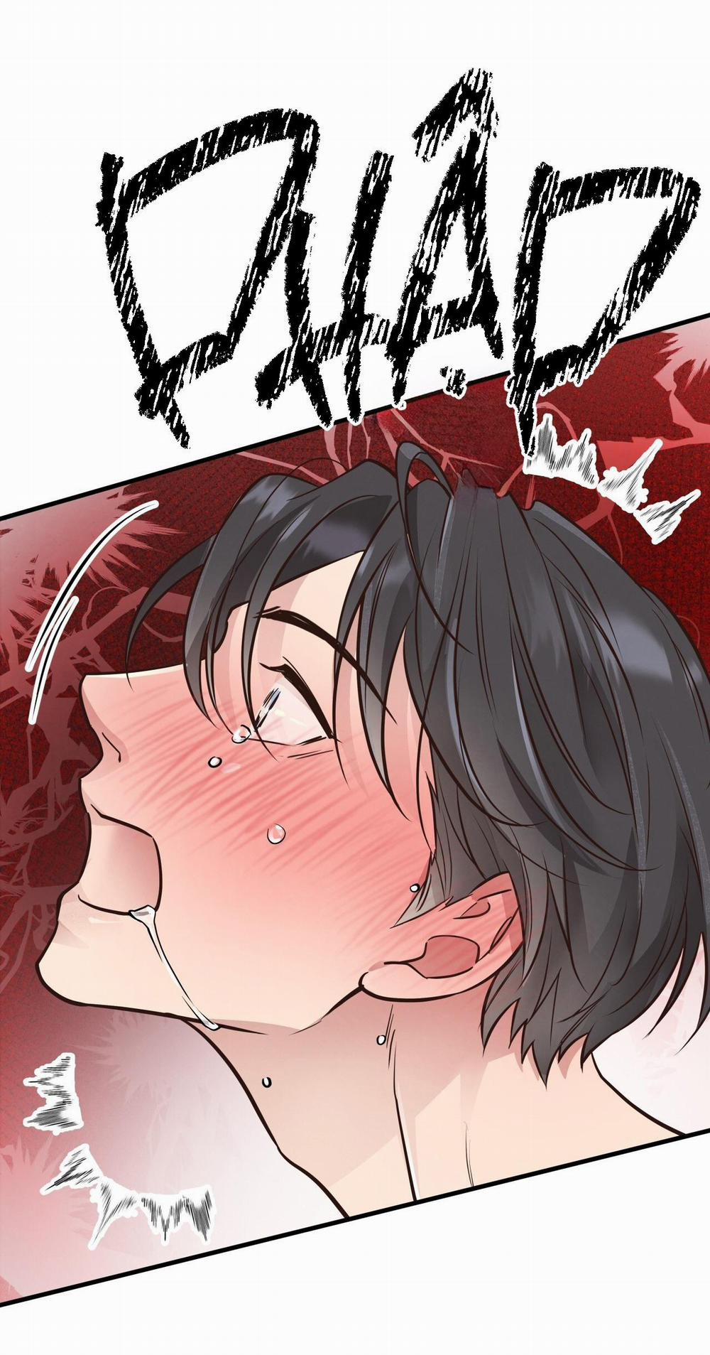 Mật Gấu 41 trang 55