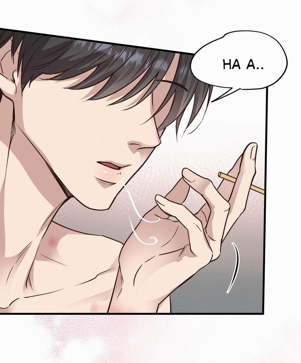 Mật Gấu 43 trang 2