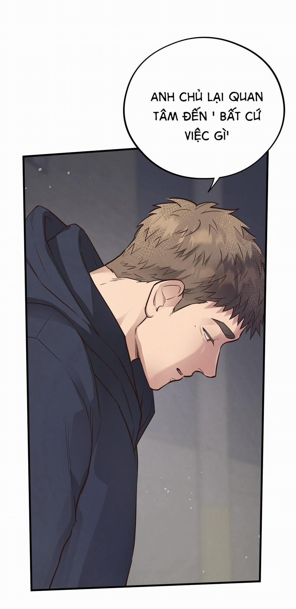 Mật Gấu 45 trang 19