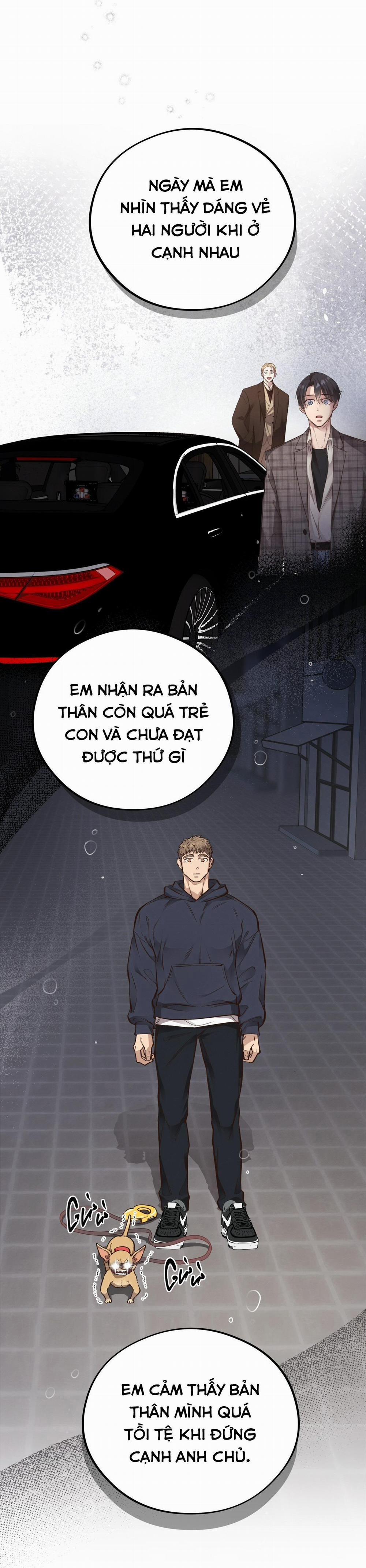 Mật Gấu 49 trang 36