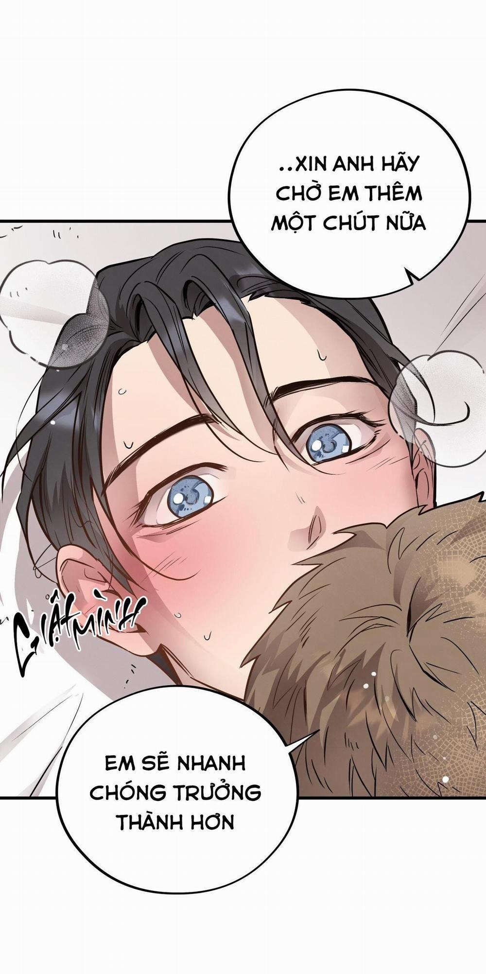 Mật Gấu 50 trang 24