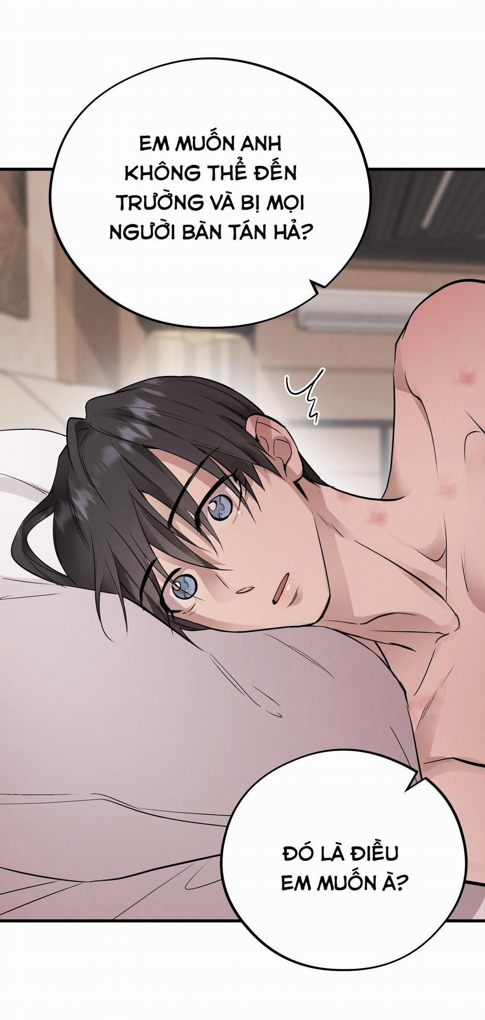 Mật Gấu 51 trang 40