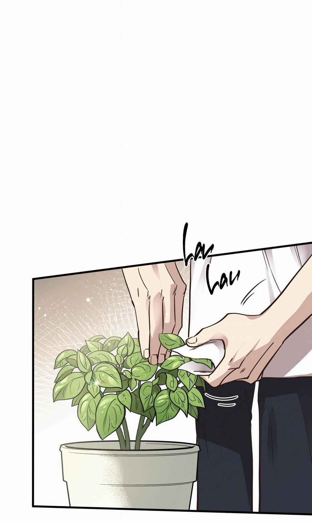 Mật Gấu 52 trang 2