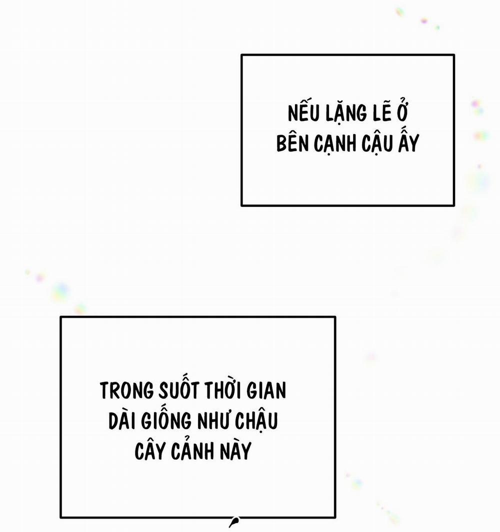 Mật Gấu 52 trang 3