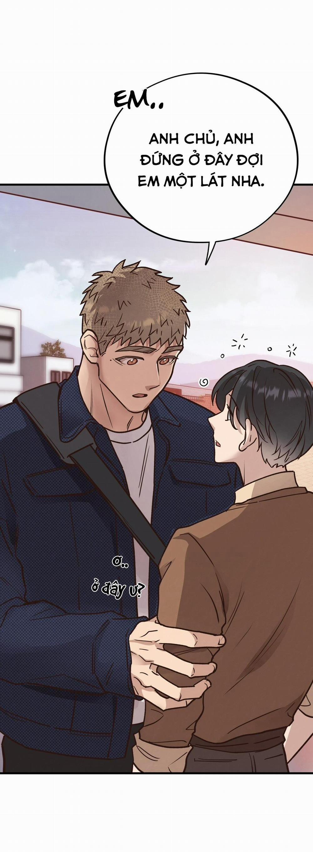 Mật Gấu 54 trang 2